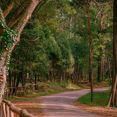 アパート Sotto Mayor