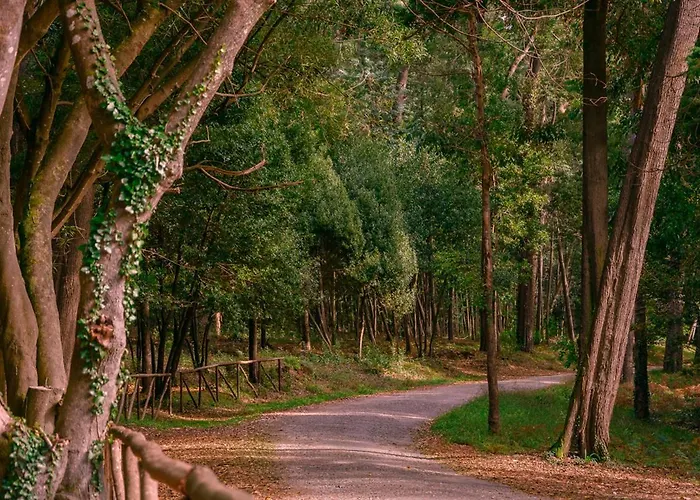 Apartment Sotto Mayor